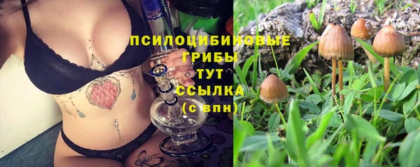 марки lsd Михайлов