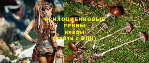 первитин Медвежьегорск