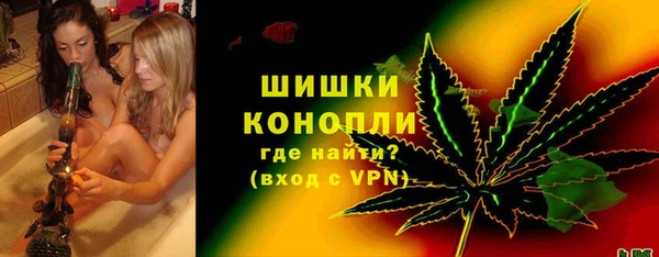 сатива Михайловск