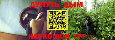 индика Изобильный
