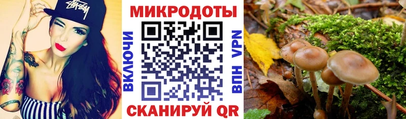 KRAKEN онион Пенза Псилоцибиновые грибы ЛСД купить цена