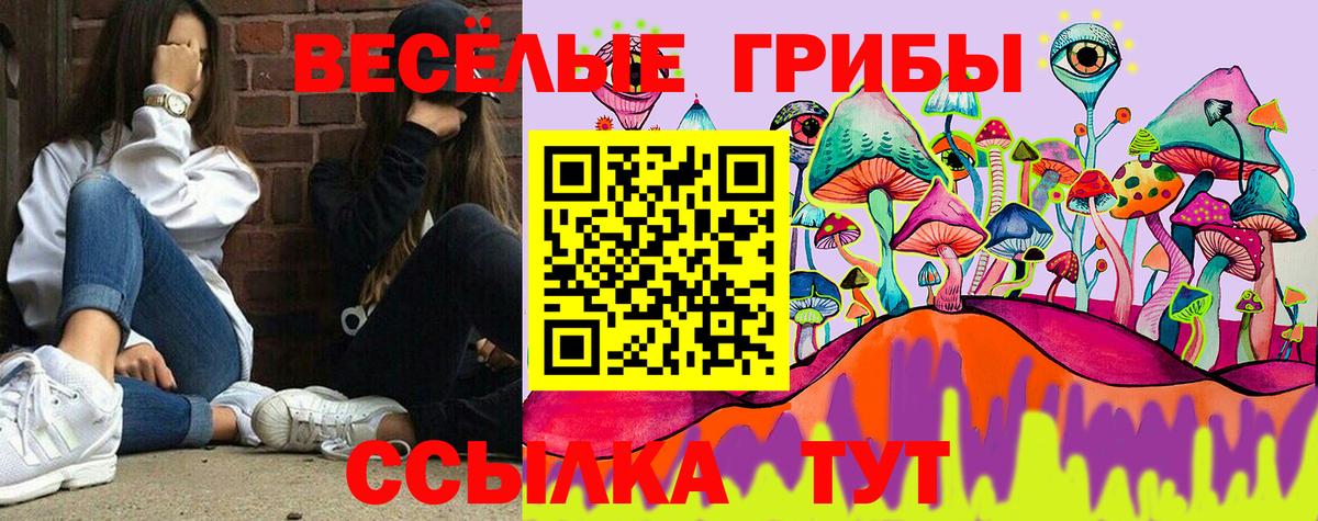 Галлюциногенные грибы GOLDEN TEACHER Пенза