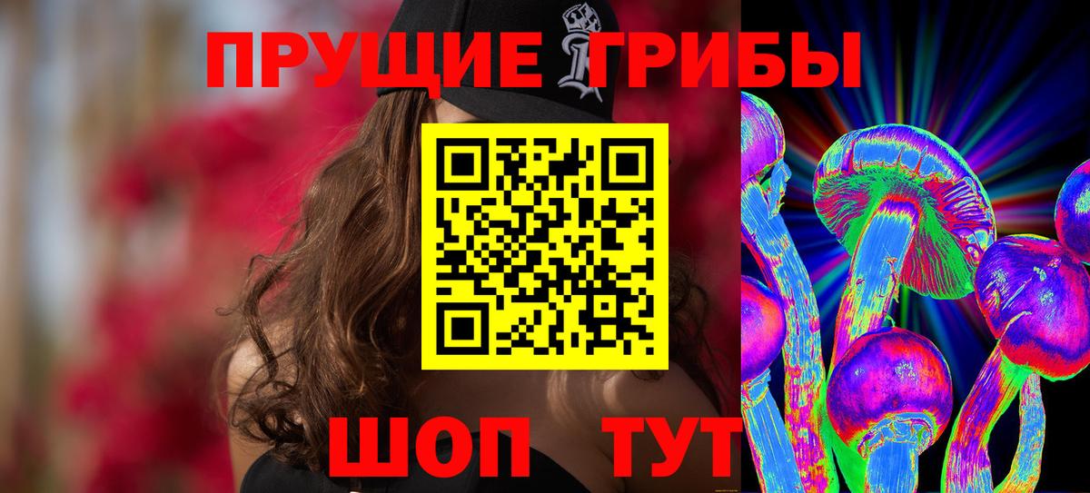 Псилоцибиновые грибы GOLDEN TEACHER  что такое наркотик  Галлюциногенные грибы MAGIC MUSHROOMS  Пенза 
