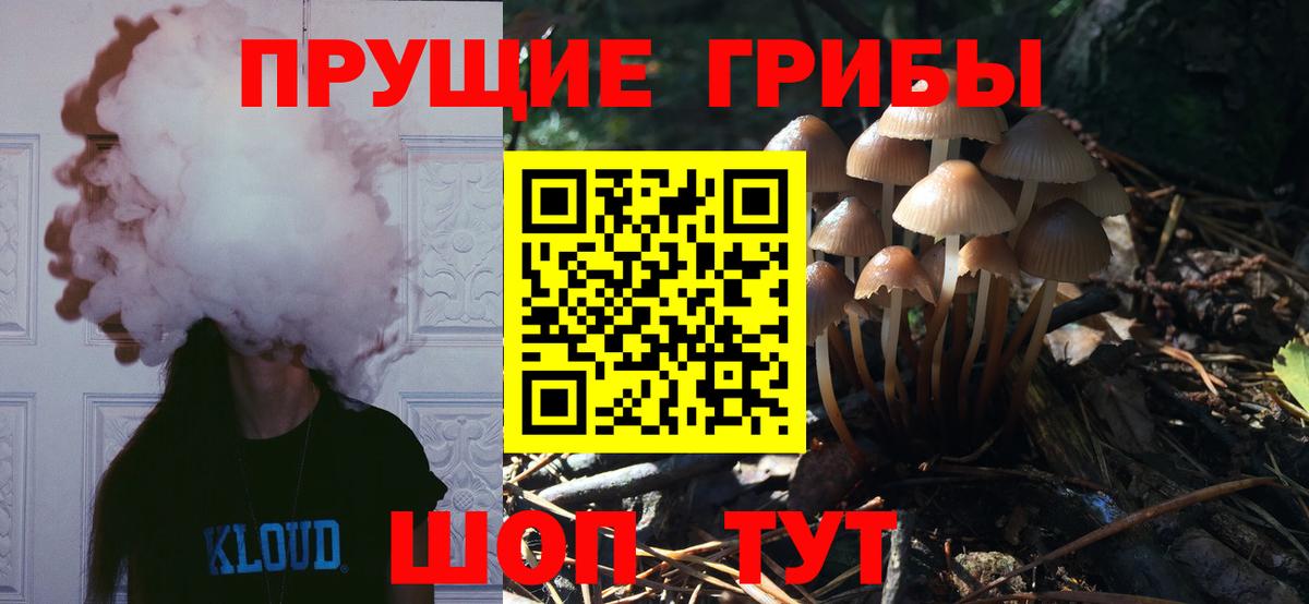 Псилоцибиновые грибы ЛСД  Вход с VPN  Пенза 