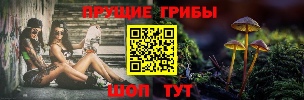 Псилоцибиновые грибы MAGIC MUSHROOMS Пенза